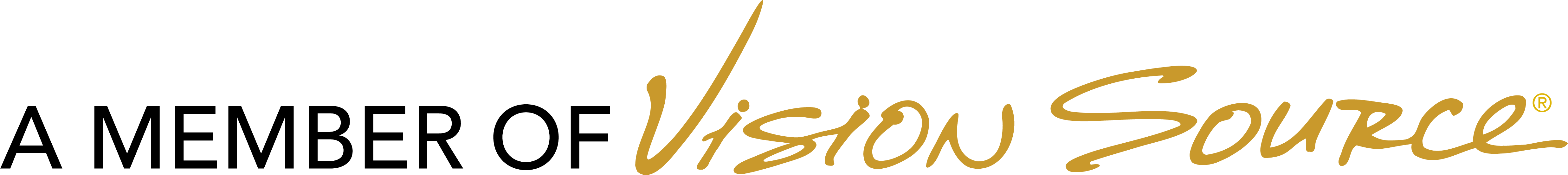 VS Logo